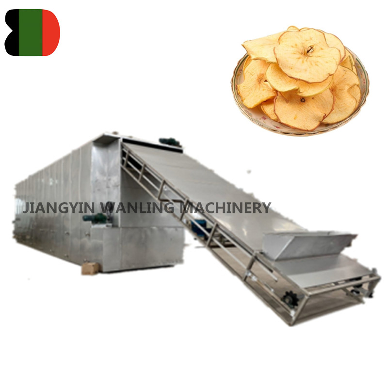 DW High Capacitatem vegetabili balteum dryer